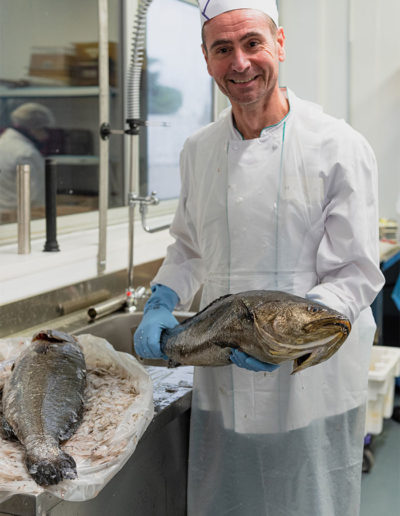 Arrivage poissons